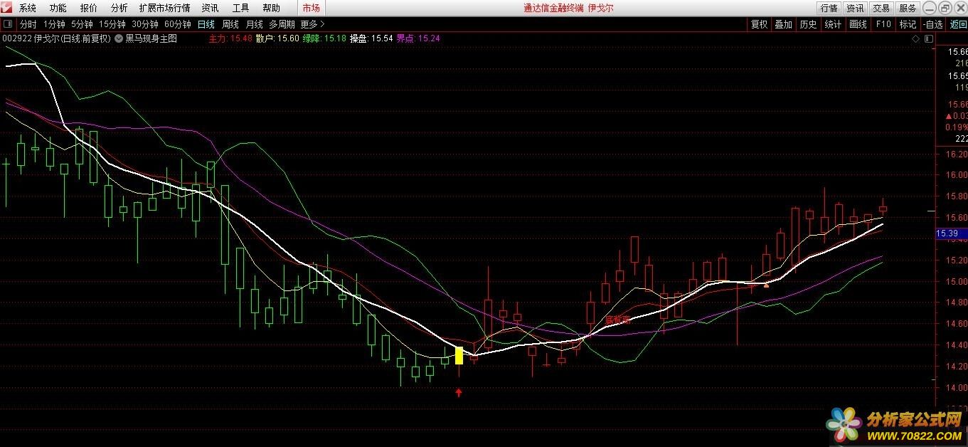 黑馬金身 黑馬現身